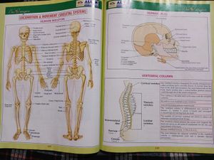 Bioimagica Textbook