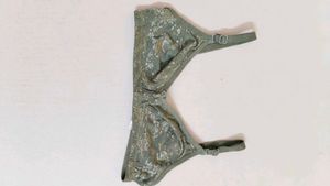 1 p bra for women and girls,net fabric with lining
