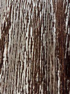 Marks &amp; Spencer’s Dress