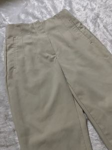 Zara High Waist Pleated Pant