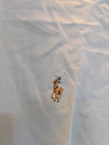 Ralph Lauren Mint Formal Shirt For Mens