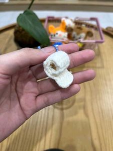 Toilet Set Keychain For Your Friend Circle 😂