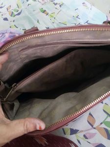 Baggit Handbag