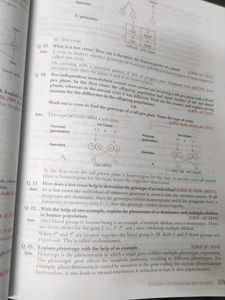 Xamidea BIOLOGY CLASS 12