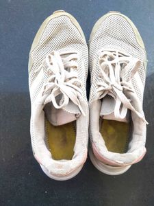 Adidas Shoes
