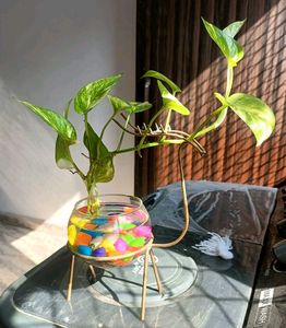 Dear Shape Stand And Pot...
