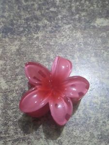 Mini Claw Clip