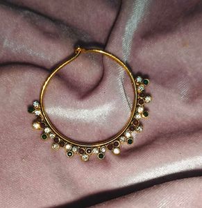 Hoop Nose Ring