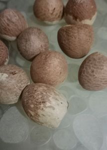 10 Piece Of Pooja Supaari