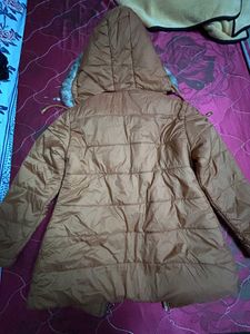 Brown New Puffer Jacket