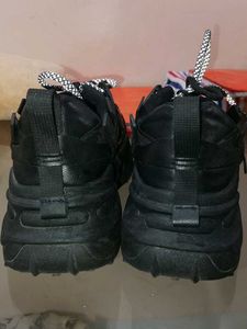 Sports Shoes