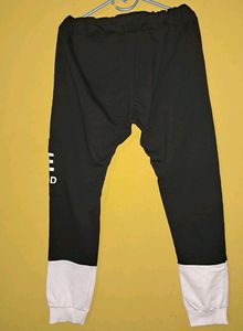 Jogger Pant🎉Free Delivery 🎉