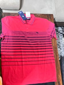 Striped Polo Shirt