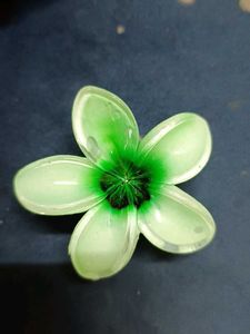 Green Hawaii Claw Clip