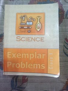 Class 10 Books