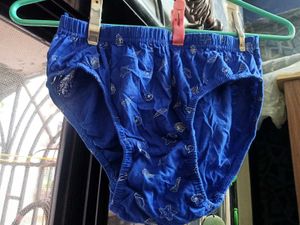 Indigo Blue Shells Panty
