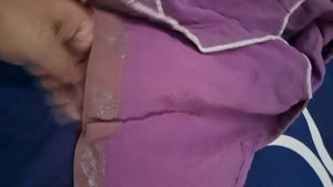 mauve color georget chamki work saree with blouse
