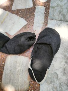 Zym Used Socks