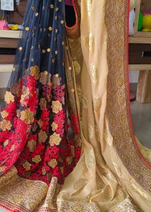 Regal Beige Saree Zardosi and Black Net Accents
