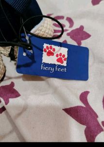 Shoe