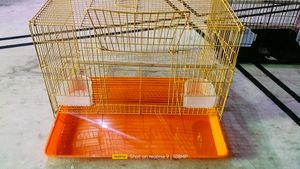 Folding Cage Pijara
