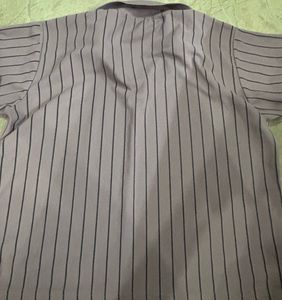Zara Polo T Shirt