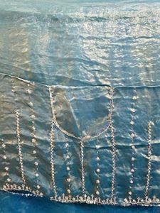 Elegant Embellished Saree