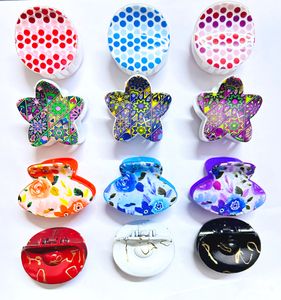 Hair Clutcher 12 Pcs Multicolor