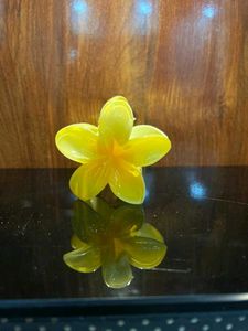 Flower Hair Clips 3 piece