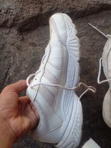 Nice White Campus Shoes.