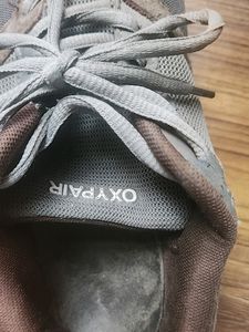 Oxedo Sports Shoes