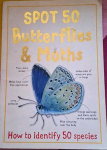 Spot 50 Butterflies & Moths Book