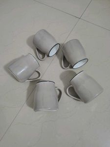 Tea/ Coffee Mugs (Set of 5)
