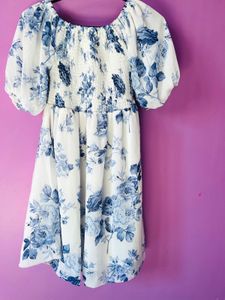 Floral Print Mini Dress