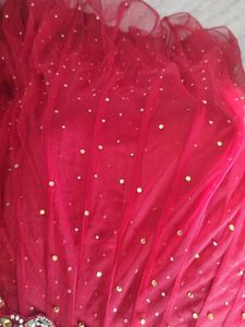 Red Fish cut Lehnga