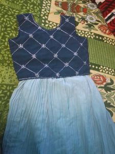 Blue Embellished Lehenga Choli