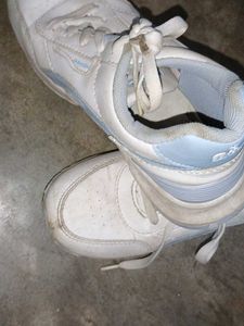 Daily Wear Shoes