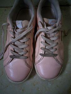 Authentic Nike Court Royale