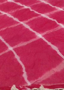 Pink Plus Size Designer Shifli Cotton Suit Set