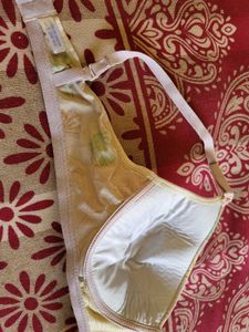 Shell Print Bra Women