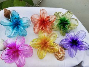 Colorful Flower Hair Clips
