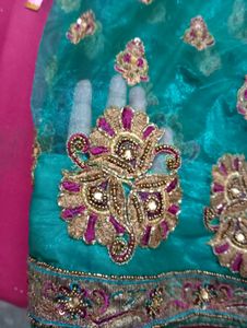 net saree with superb contrast with blouse