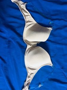 Jockey Padded BraWith Detachable Transparent Strap
