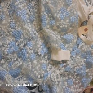 Georget Party Wear Top