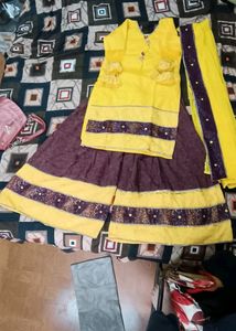 Net Kurti With Short Plazo