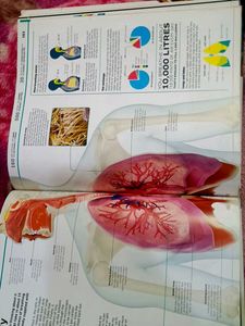 Knowledge Encyclopedia