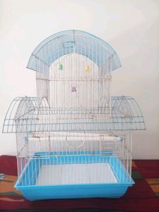 🐦 Brid Cage