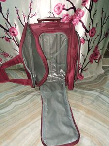 VIP Suitcase And CASH Only