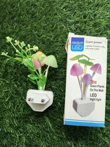 Mashroom Light