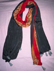 Beautiful Paisley & Silk Scarf